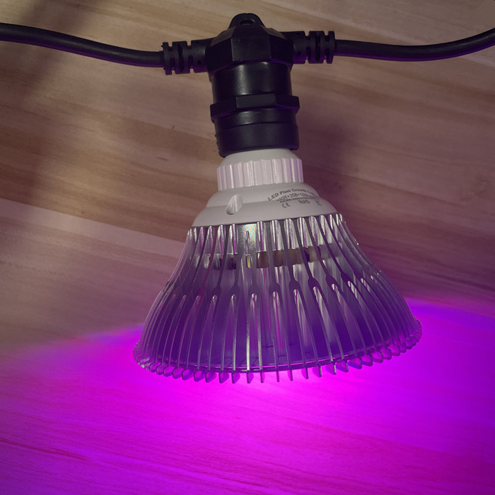 10M Kablo LED Dize Işık Zincir - Led Fairy String Lights incelemesi ve fiyatı